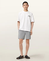 Cipher Striped Swim Shorts