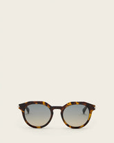 Van Panto Framed Sunglasses
