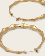 Clara Medium Hoop Earrings