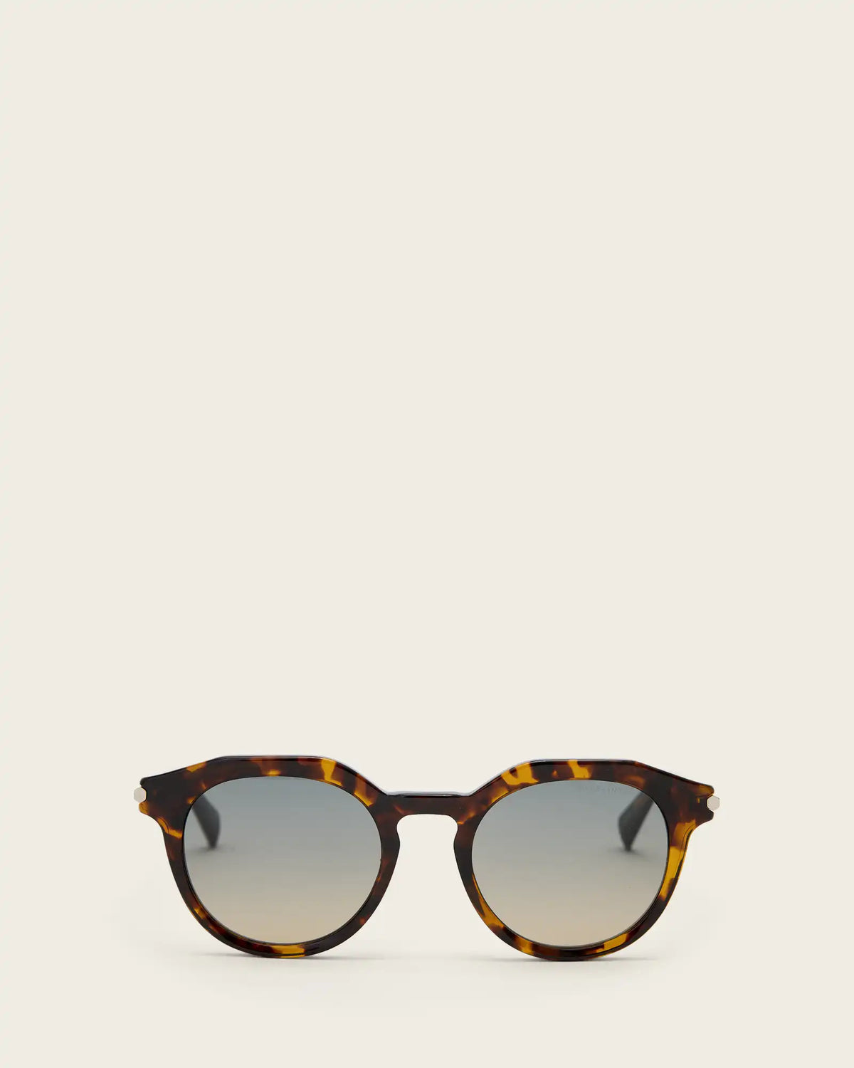 Van Panto Framed Sunglasses