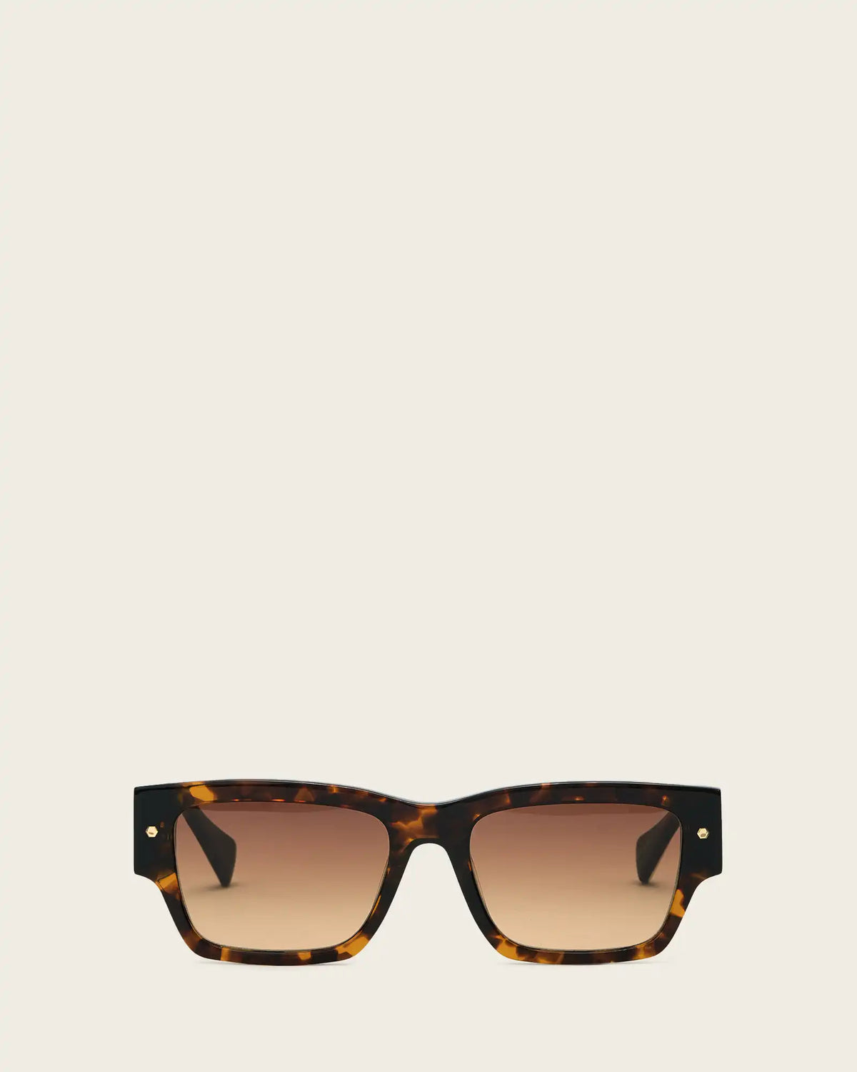 Iggy Square Framed Sunglasses